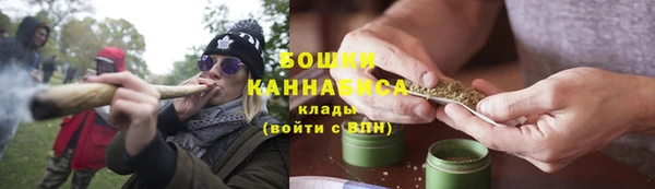 прущие грибы Кукмор