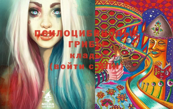 не бодяженный Куйбышев