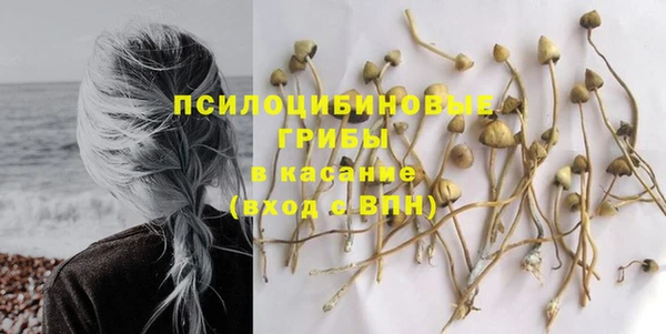 не бодяженный Куйбышев