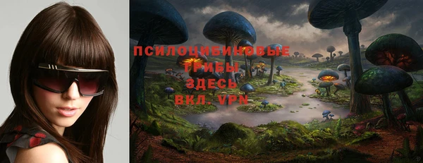 мдпв Кулебаки